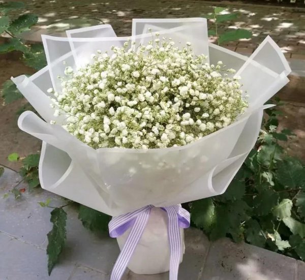 满天星花语是什么