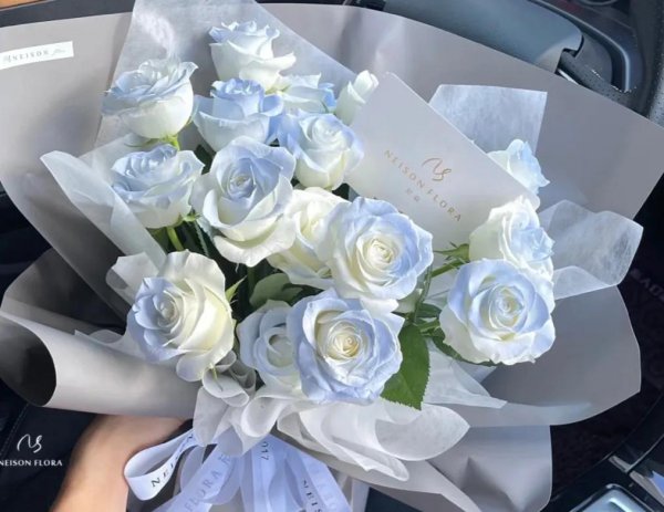 玫瑰的花语是什么