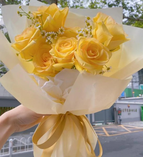 玫瑰的花语是什么