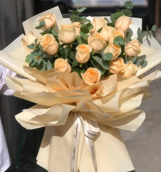 玫瑰的花语是什么