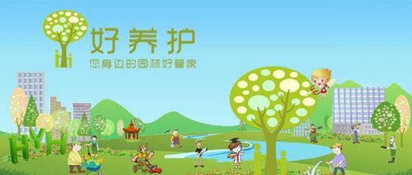 黄马蹄莲花语是什么意思