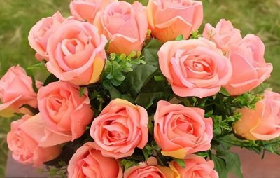 十九朵玫瑰代表什么含义 19朵玫瑰代表的花语