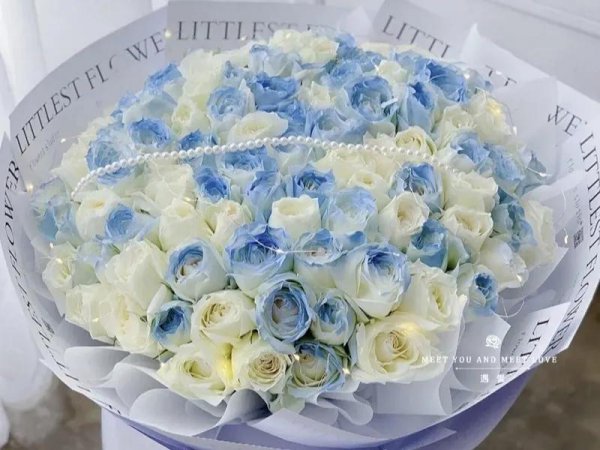 碎冰蓝玫瑰花语是什么意思