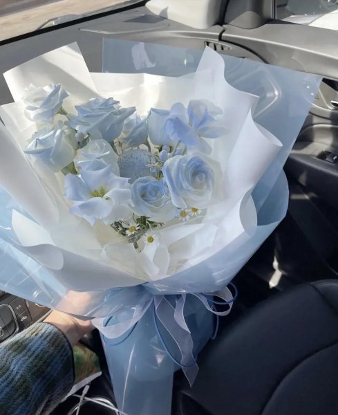 碎冰蓝玫瑰花语是什么意思