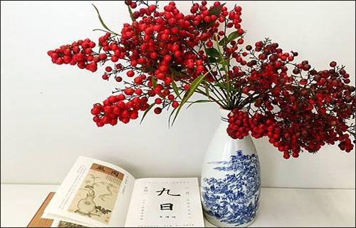 冬青的花语是什么
