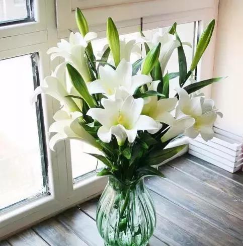 百合的花语是什么