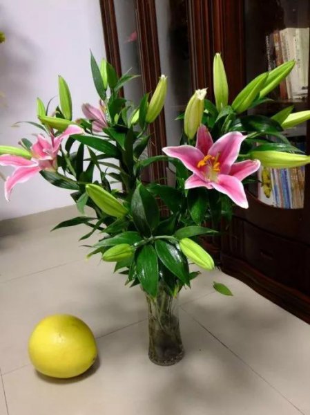 百合的花语是什么
