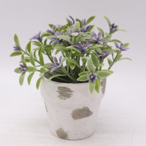 丁香花花语是什么 关于丁香花的寓意