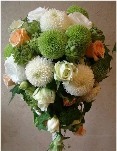 君子兰菊花为什么不能送人