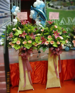 火鹤花花语是什么 火鹤花的象征意义