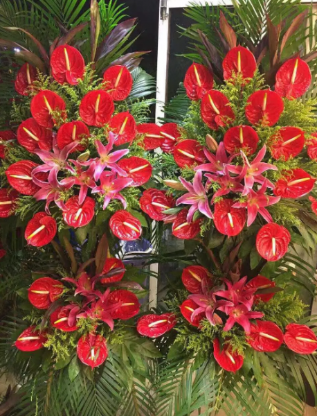 火鹤花花语是什么