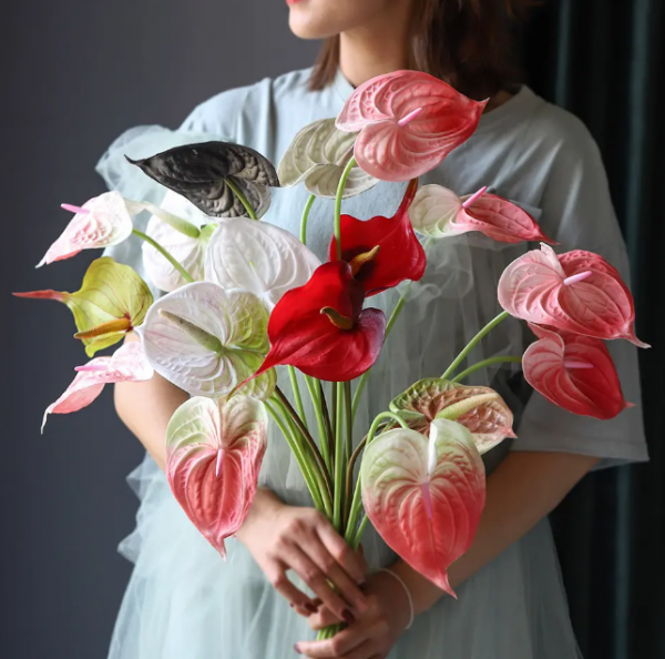 火鹤花花语是什么