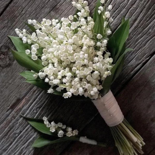 铃兰花花语是什么