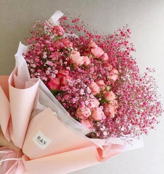 满天星的花语是什么