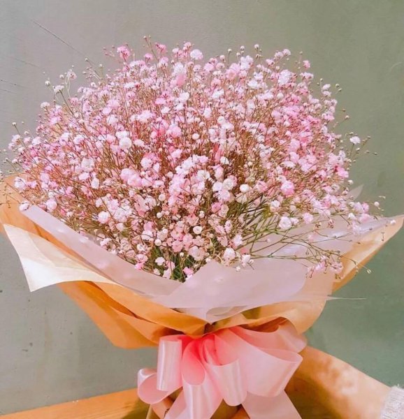 满天星的花语是什么