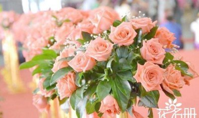代表爱情的花都有哪些 10种象征爱情的花介绍