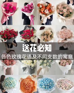 香槟粉玫瑰花语和寓意 粉玫瑰寓意和象征意义分享