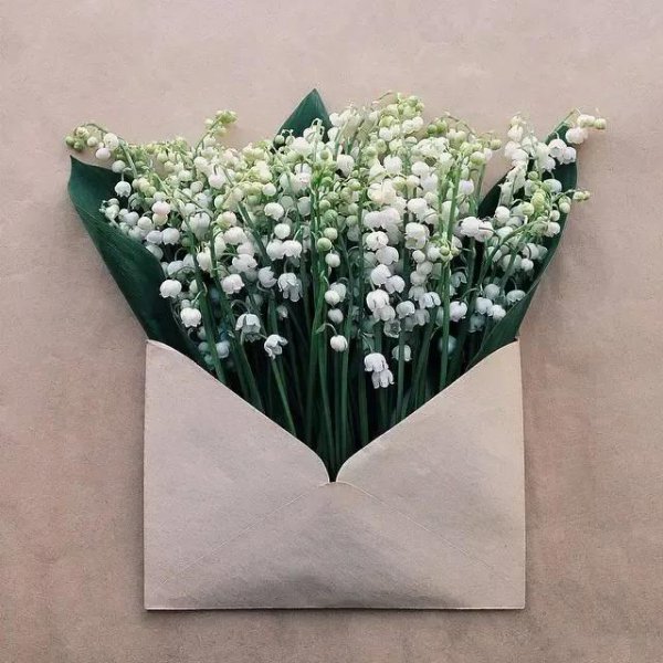 铃兰花语是什么意思