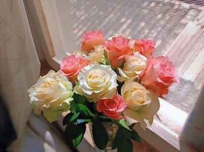 12朵花代表什么含义 玫瑰花语大全介绍
