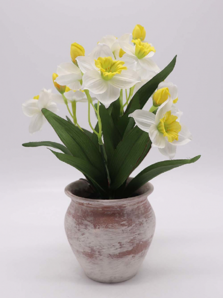水仙花代表什么意思