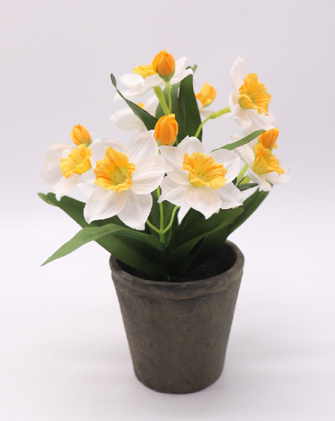 水仙花代表什么意思