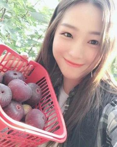 无花果种苗如何种