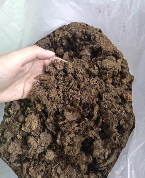 养多肉用什么土最好