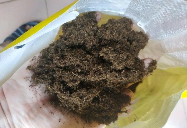 养多肉用什么土最好