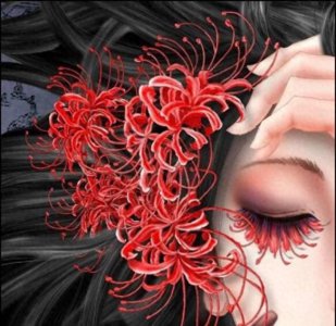 彼岸花如何种植 彼岸花的种植与养护