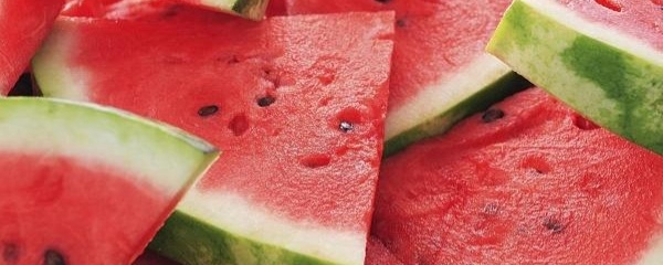 新手怎么种西瓜