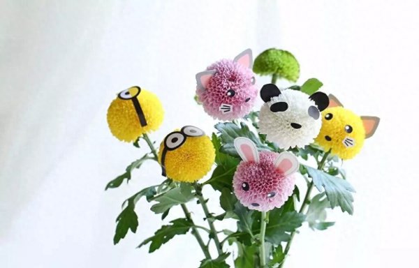 乒乓菊的花语和寓意介绍