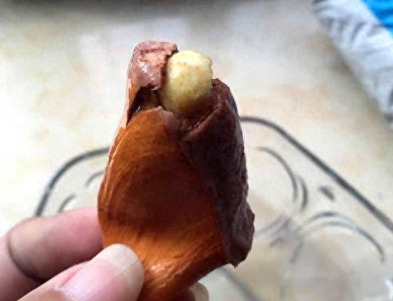 榴莲树苗怎么种植