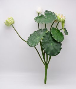 荷花象征的意义是什么 关于荷花的美好寓意