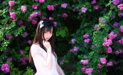 蔷薇的意思是什么 关于蔷薇象征的意义