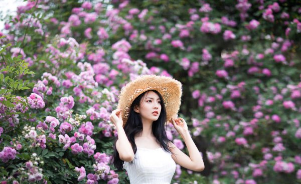 蔷薇的意思是什么