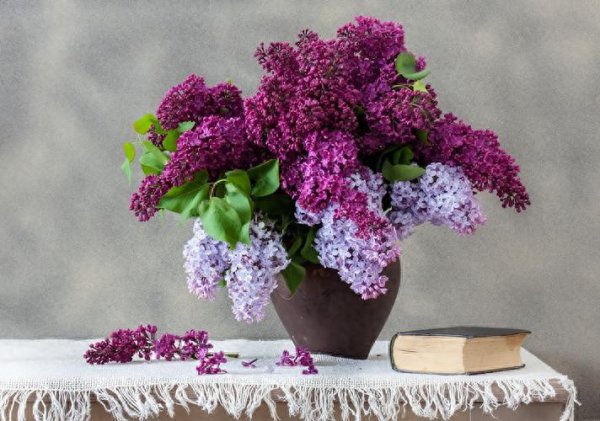 丁香花的花语是什么