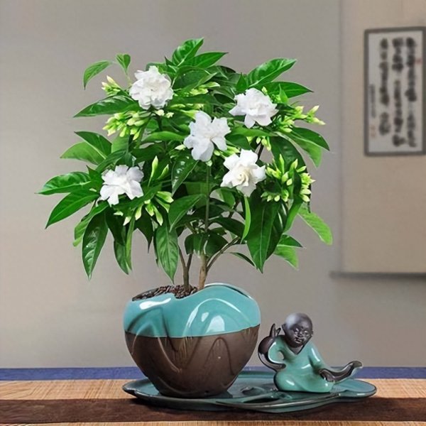丁香花的花语是什么