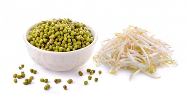 绿豆芽怎么发又粗又快