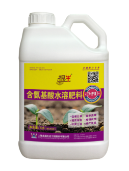 火龙果种苗怎么样培育