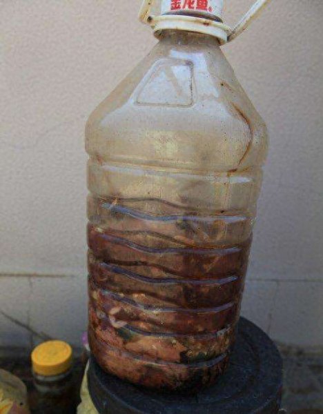 如何制作花肥营养土