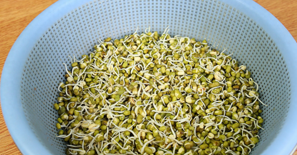 豆芽怎么发又快又好
