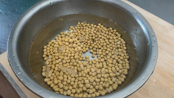 在家自己怎样生黄豆芽