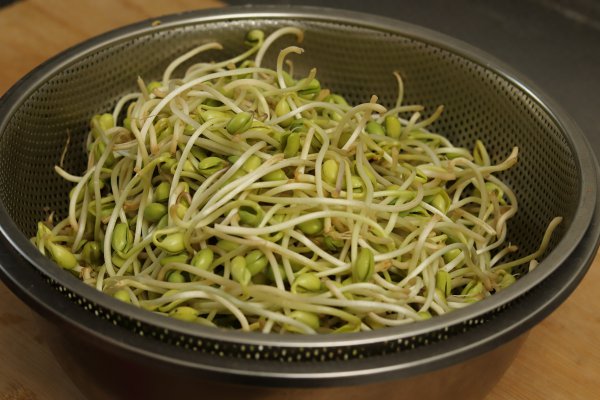 在家自己怎样生黄豆芽