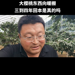大棚樱桃一亩投资多少 蔬菜大棚造价明细