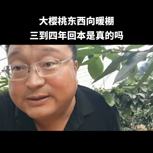 大棚樱桃一亩投资多少