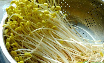 黄豆芽怎样生豆芽快 黄豆芽的种子处理方法