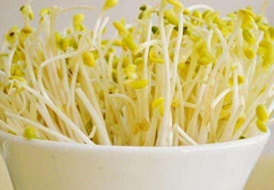 绿豆芽怎么发又粗又快
