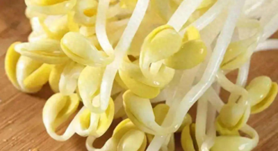 豆芽怎么发最快又好 教你自发豆芽技巧