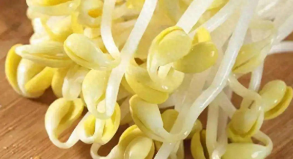 豆芽怎么发最快又好