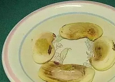 芒果核怎么种盆栽